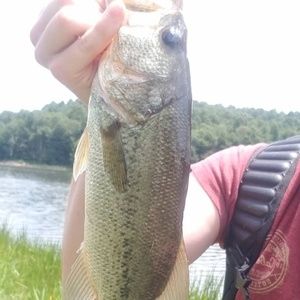 Meet your Posher, Josh